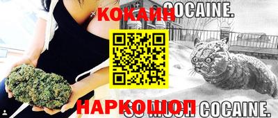 индика Дмитров