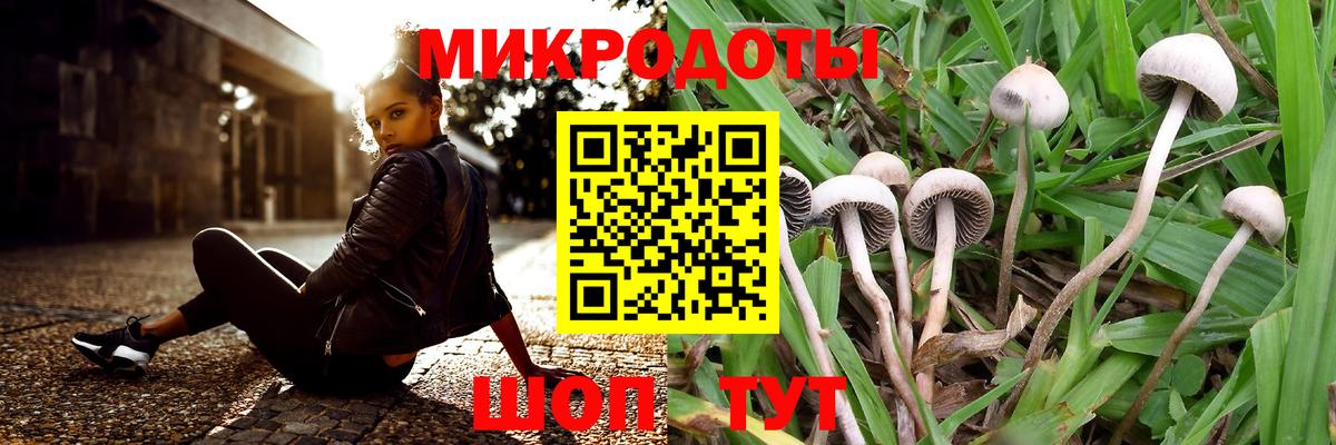 Горячий Ключ  Псилоцибиновые грибы Psilocybe  Вход с VPN 