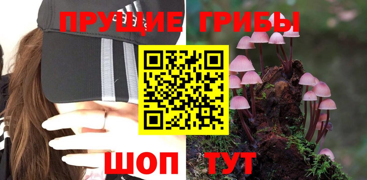 Псилоцибиновые грибы ЛСД Горячий Ключ